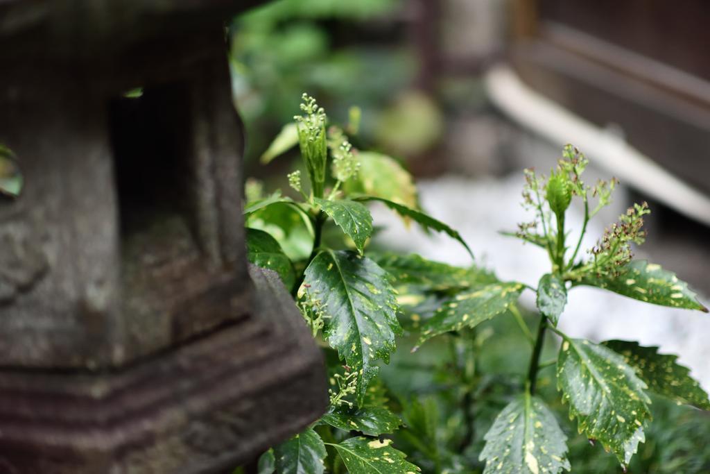 Rakusuian Hotell Kyoto Eksteriør bilde